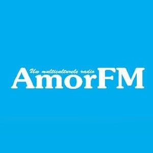 Logo of radio station Amor FM