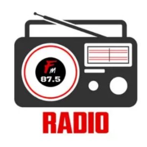 Logo of radio station Narshingbari Radio