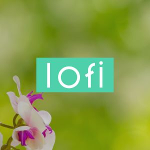 Dash Lofi - Chill & Instrumental Hip-Hop Beats