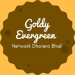 Logo of radio station Goldy Evergreen