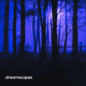 Logo of radio station BOX : Dreamscapes