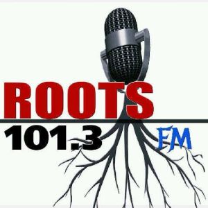 Logo of radio station Roots FM 101.3