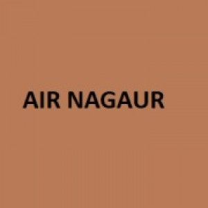 Logotipo de la emisora ​​de radio AIR Nagaur