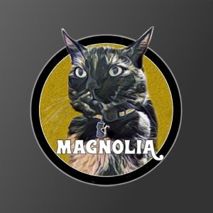 Logo of radio station Rádio Magnólia
