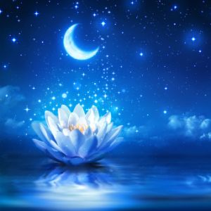 Zen Radio - Sleep Relaxation