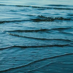 Logotipo de la emisora ​​de radio Sleepscapes - Waves