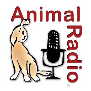 Logo of radio station Animal Radio