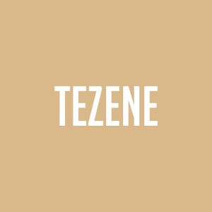 Logo of radio station Radyo Tezene