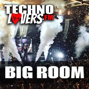 Logo of radio station Technolovers - Big Room