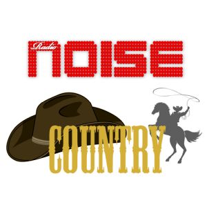Logo of radio station Radio Noise Country
