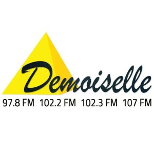 Logo of radio station Demoiselle FM